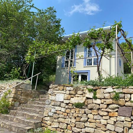Weinbergshaus Mit Blick Auf'S Wasser Salzatal Eksteriør billede