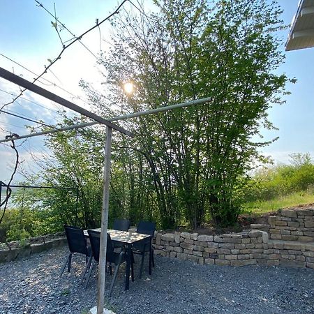 Weinbergshaus Mit Blick Auf'S Wasser Salzatal Eksteriør billede