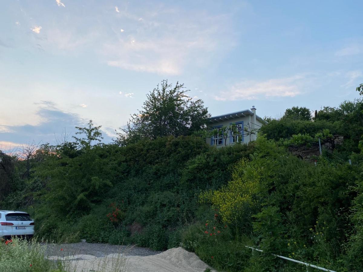 Weinbergshaus Mit Blick Auf'S Wasser Salzatal Eksteriør billede