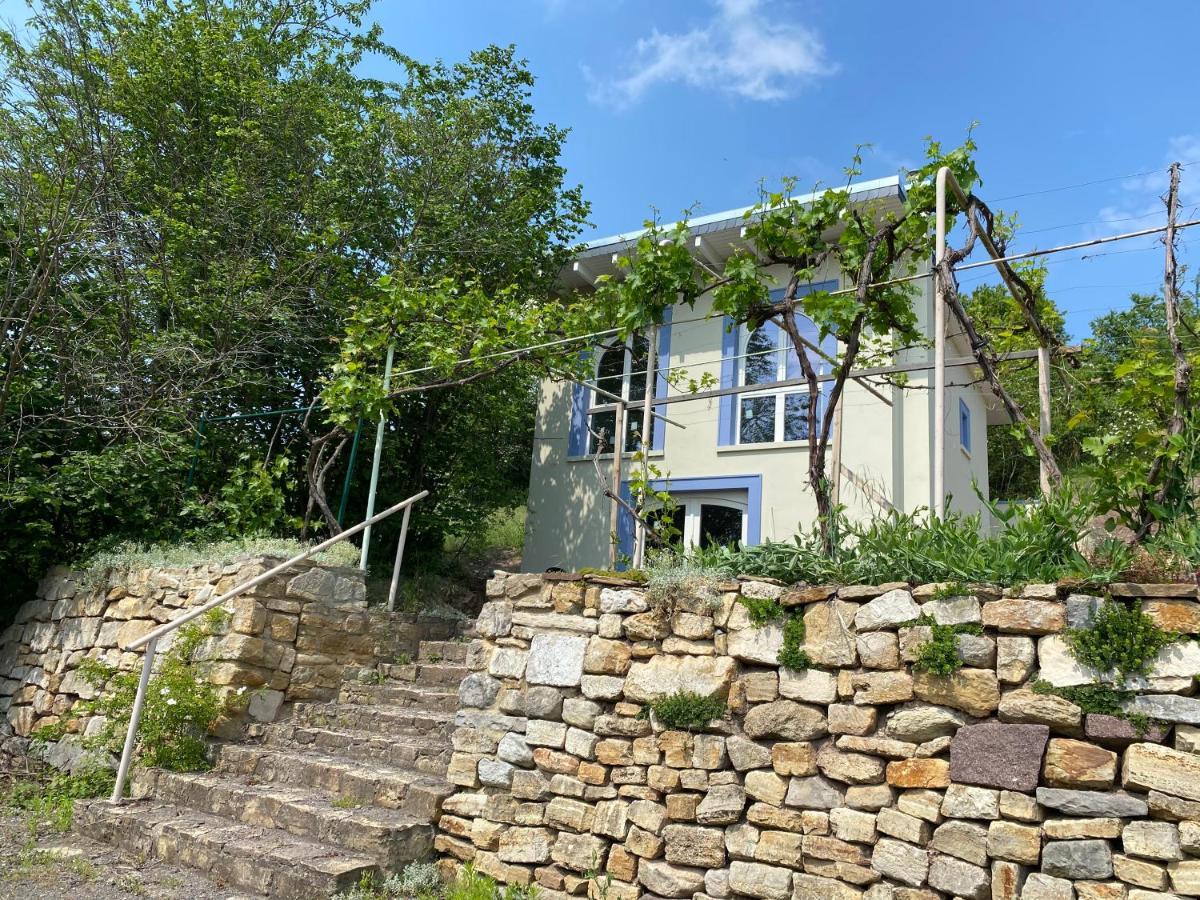 Weinbergshaus Mit Blick Auf'S Wasser Salzatal Eksteriør billede